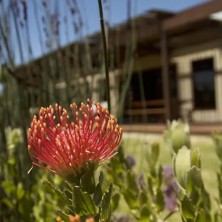 The Riverstone House Romansrivier Exterior photo