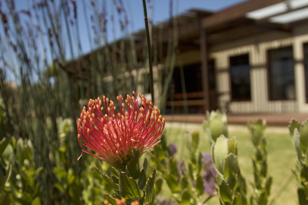 Villa The Riverstone House